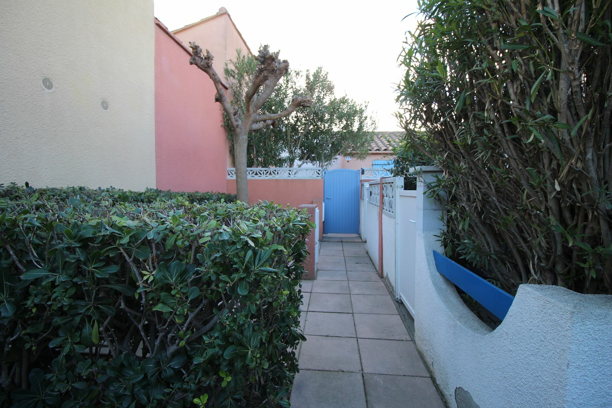 Appartement Charmant A Canet En Roussillon 36 M² Piscine Partagee Dış mekan fotoğraf